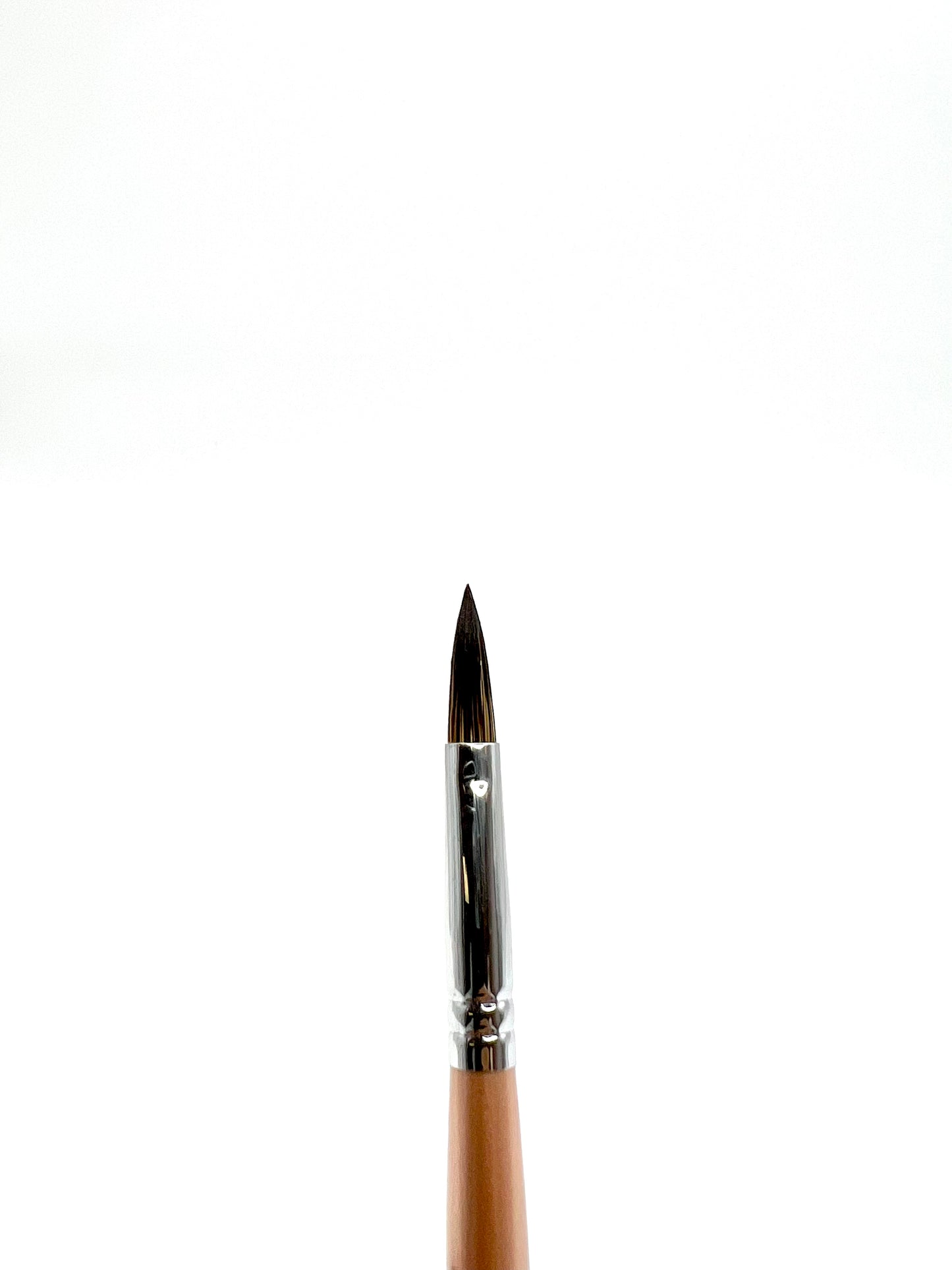 Raccoon Wood #8 Brush