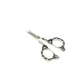 Siver Scissors