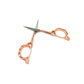 Rose Gold Scissors